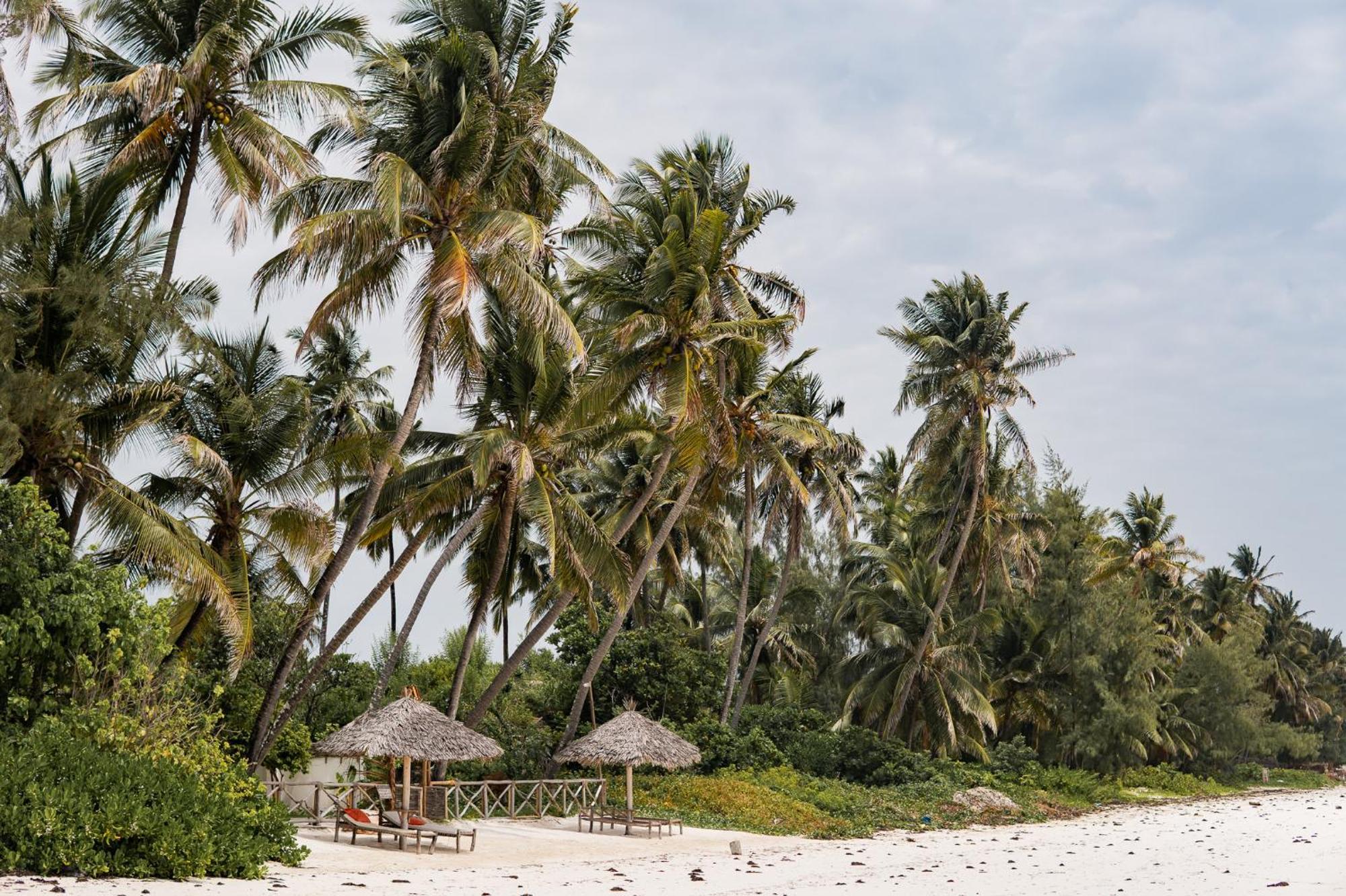 Kima Serviced Beach House & Suites Bwejuu Eksteriør bilde
